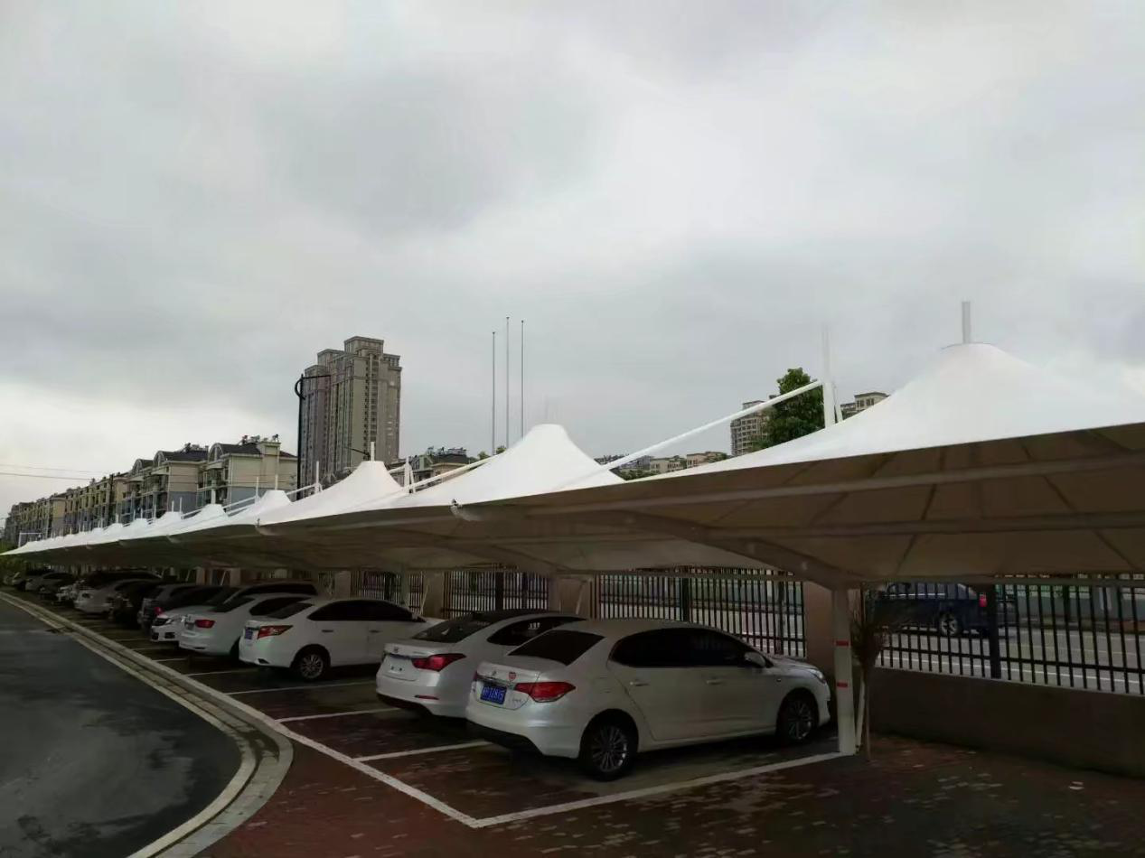 ����ʡ�V������ԺĤ�Y(ji��)��(g��u)ͣ܇��